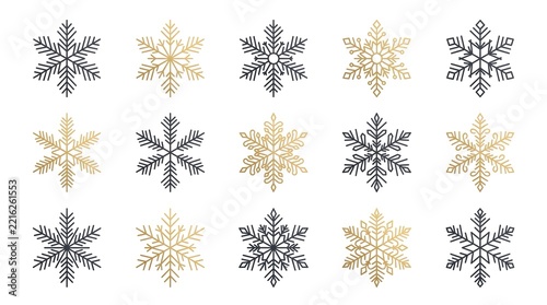Collection of twelve intricate snowflake patterns