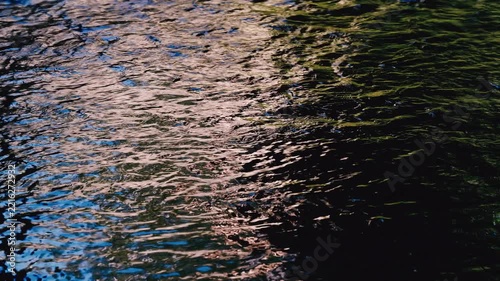 river in green forest