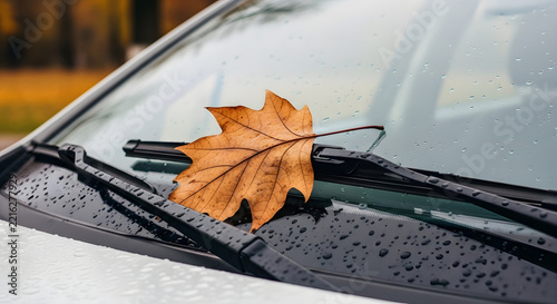 Dry autumn leaf resting on windshield wiper of a parked car  