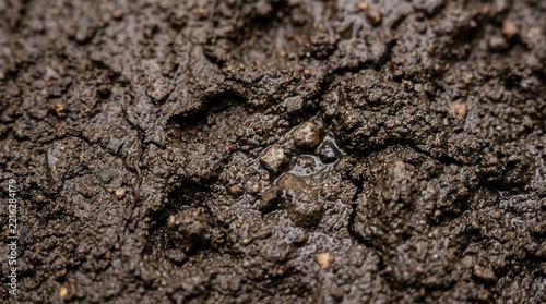 Closeup of wet muddy ground texture with small puddle detail