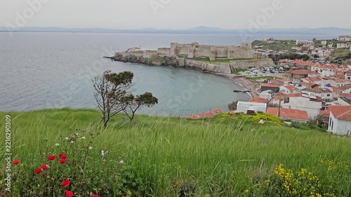Lush green hillside with red poppies and wildflowers. Small tree stands near colorful blooms. Coastal village with stone fortress overlooks calm blue sea in Bozcaada, Turkey
