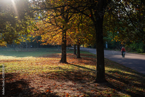 EARLY AUTUMN