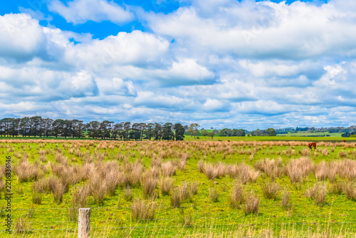 A Spring day in the green and hilly Central West NSW countryside