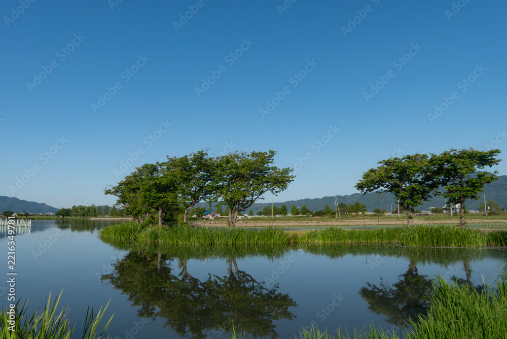 Obraz premium 初夏の小さな湖の美しい風景 晴れた湖面のリフレクション 水鏡 滋賀県草津市 平湖