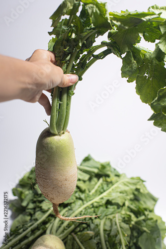 Daikon radish with green stem.