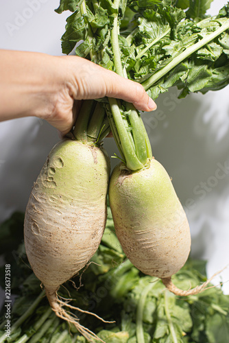 Daikon radish with green stem.