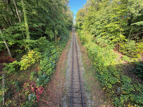 Perfectly straight railway track stretching into the distance surrounded by green forest landschaft