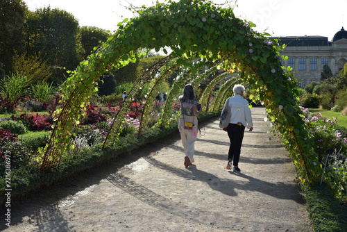 Flâner au jardin en été à Paris. France	
