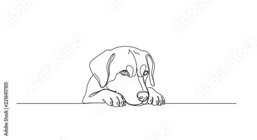Patient dog waiting with head and paws resting on table