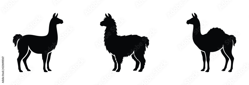 Fototapeta premium Llama and camel silhouettes set with diverse camelids for logos and icons