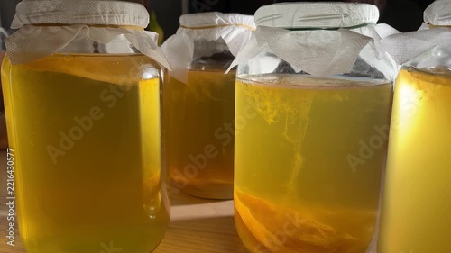 Several glass jars containing yellow kombucha liquid and orange solids, lids covered with white paper and rubber bands, arranged on a wooden surface