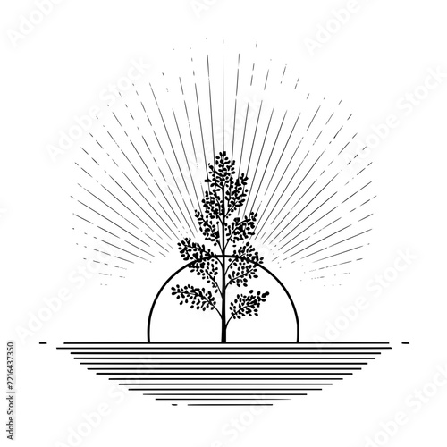 Stylized nature illustration with a tree and a rising sun over a mirrored water surface