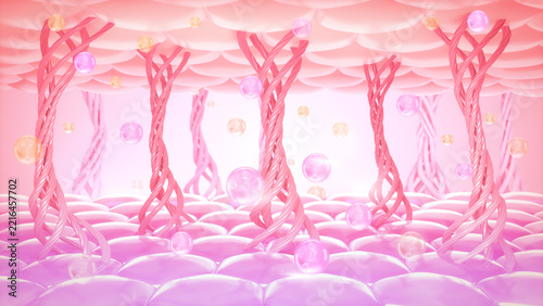 Mature Collagen under skin cells with molecule Vitamin, Serum bubble, Cosmetic skincare background, 3D rendering