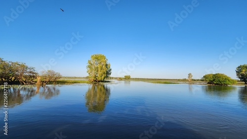 Yellow Water wetlands in Kakadu, Northern Territory, Australia