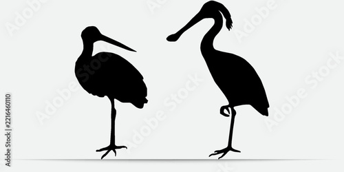 Stork and spoonbill bird pair silhouette vector illustration. Waterbird standing set isolated on white background.