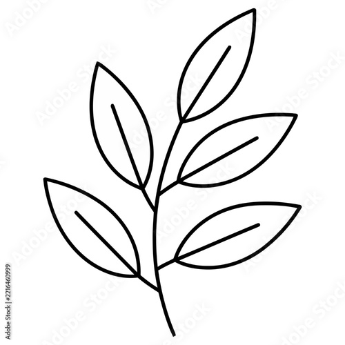 Simple line drawing of a plant branch with leaves