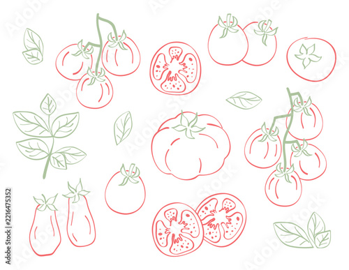 Set of illustrations featuring various types of tomatoes and basil. Amalfi Coast. Hand drawn vector illustration in a Mediterranean doodle style.
