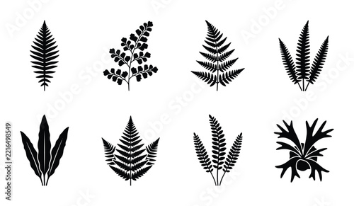 Fern leaf silhouettes set with fronds and foliage for nature design logo