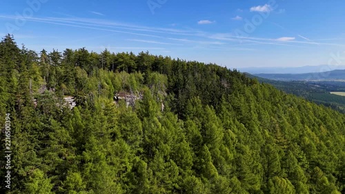 Aerial view of the Black Hills in South Dakota, USA. Rocks, mountains, and forest.
