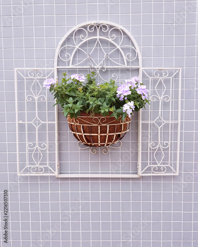 Fotografie White wrought iron arched window frame with hanging basket of purple verbena flo