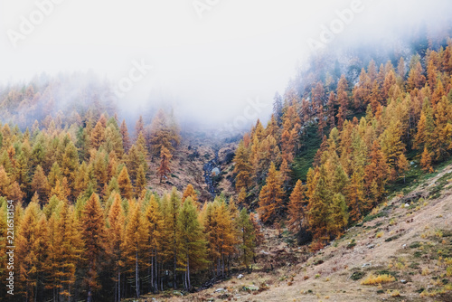 Mountain landscape in the Alps with colorful trees surrounded by white fog in autumn. Natural background.