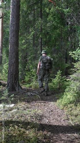 Hiker with backpack walking along a trail in a sunny spruce forest
