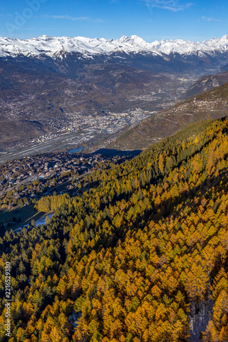 Aerial view of a larch forest in autumn, with the Rhône Valley and the town of Sion in the background, Switzerland