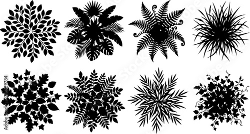 Set of top view plant silhouettes for architectural landscape design vector illustration