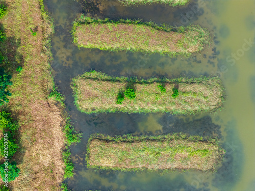 Aerial View of Cotai Ecological Reserve, Macau