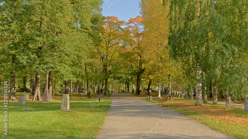 Fotografie Peaceful historic cemetery with a tree-lined path, old gravestones and colorful autumn foliage in Tampere, Finland