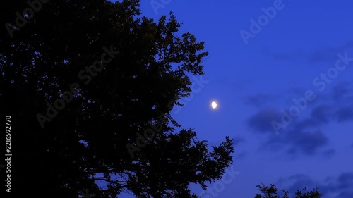 Moon, planet conjunction and landscape scenery silhouettes.