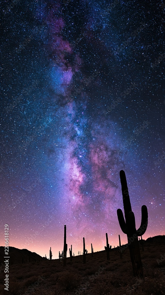 Fototapeta premium Vibrant Milky Way Galaxy Arches Over Silhouetted Desert Cacti Under A Starry Night Sky
