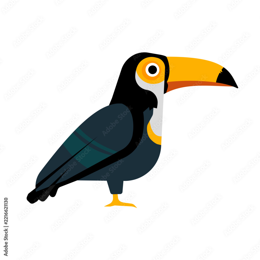 Fototapeta premium Toucan bird standing isolated, vector illustration