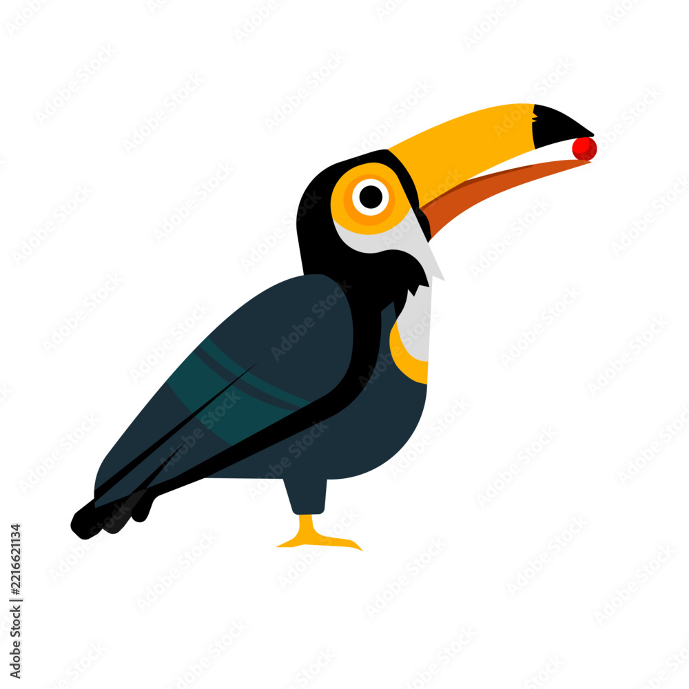 Fototapeta premium Toucan bird holding a red berry in beak isolated, vector illustration
