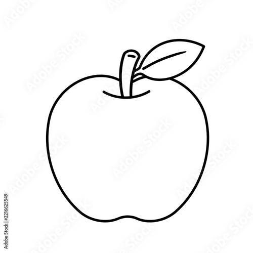 Apple fruit line art line drawing illustration