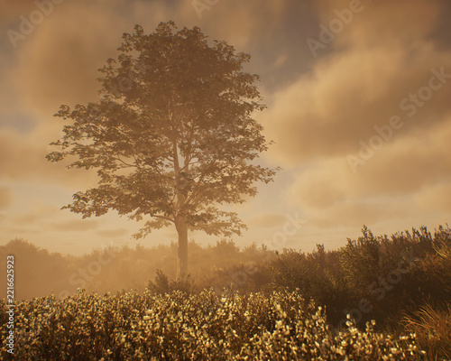 Hornbeam tree in a hilly misty meadow with tall grasses and plants under a cloudy sky. 3D render.