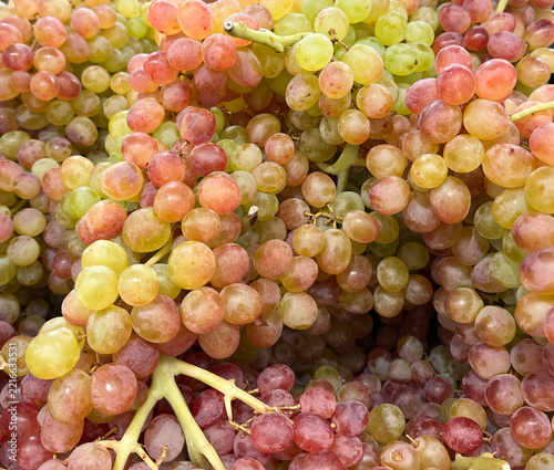Ripe bunches of pink grapes with juicy berries close-up.