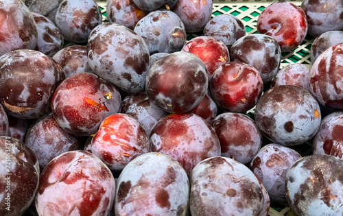 Ripe red-purple plums with a waxy coating.