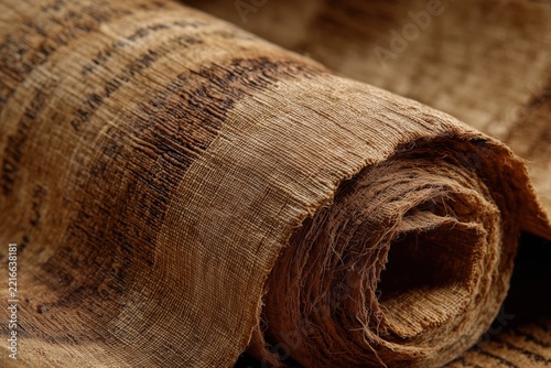 Ancient Egyptian papyrus with hieroglyphs, the texture of the material.