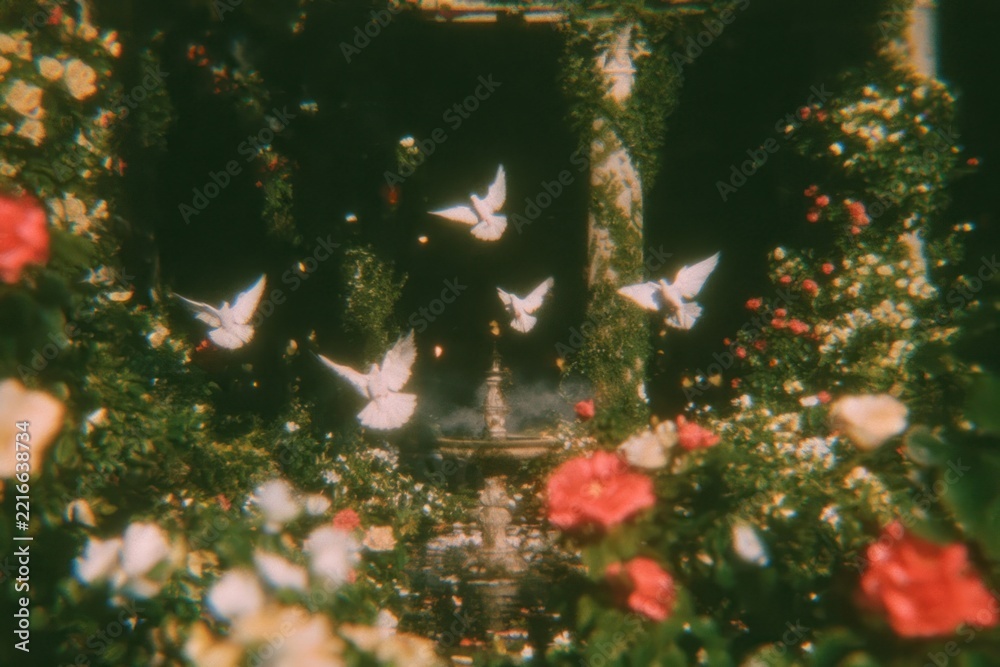 Fototapeta premium Dreamy garden path with white doves, roses, and soft bokeh