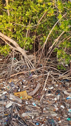 Plastic Waste and Garbage Accumulated Around Mangrove Tree Roots in Coastal Forest.