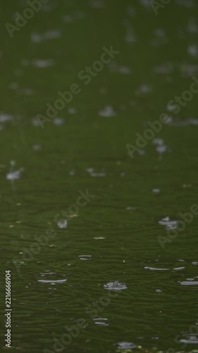 Circular ripples spreading across pond in vertical slow motion