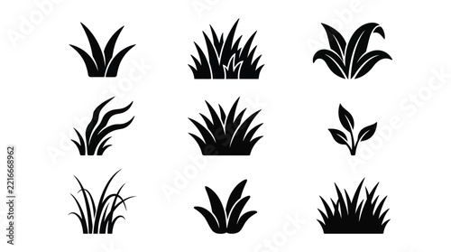 Grass silhouettes collection on a white background
