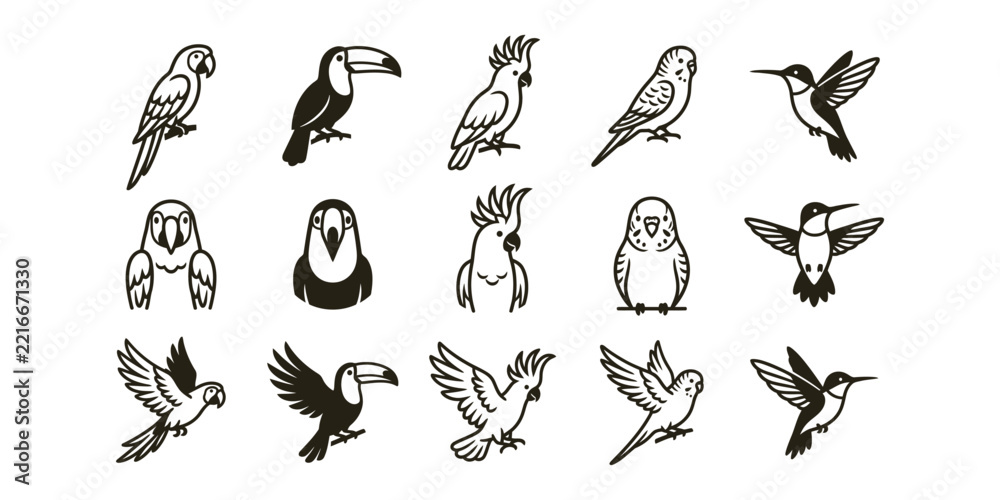 Naklejka premium Collection of hand drawn bird illustrations featuring toucans parrots and hummingbirds in a sketch style set