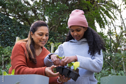 African American mom in rust sweater guiding teenage daughter handling black seed tray in garden