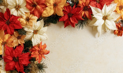 Colorful poinsettia flowers arranged in decorative border
