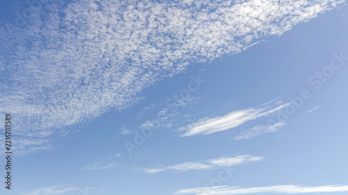 秋の高い青空に広がるうろこ雲
