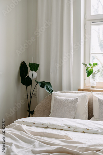 Bedroom interior with white bedding, pillows, and green plant on windowsill