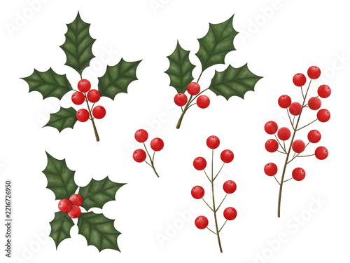 Obraz na plátně Holly with green leaves and red berries, a set of Christmas plants in watercolor style, on an isolated transparent background