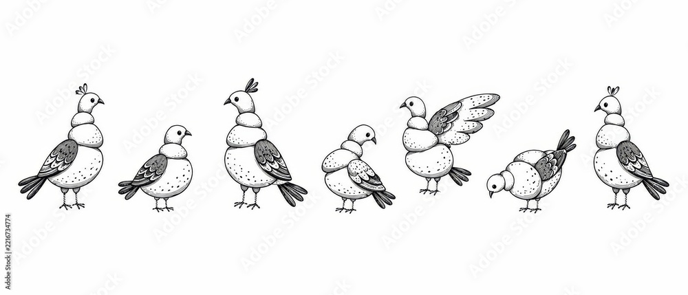 Fototapeta premium Hand Drawn Bird Illustration Collection